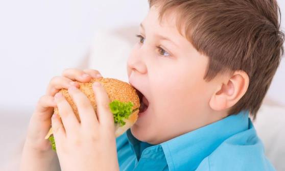 孩子肥胖的4个原因 儿童健康减肥应减少高热量食物摄入