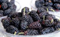 桑葚果酱的制作方法及技巧 桑葚果酱的保存方法