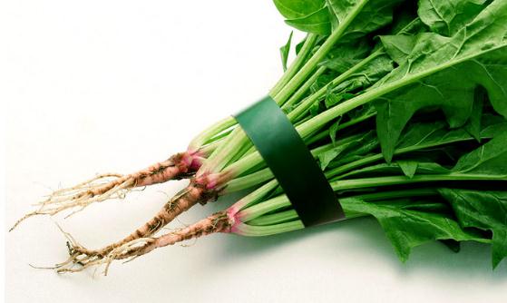 十种常见的可以改善病症的菜根 丢弃的菜根也有食疗功效