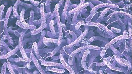 乙类传染病新型冠状病毒肺炎已措手不及，甲类传染病霍乱如何预防