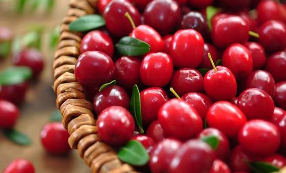 蔓越莓的5种功效与作用 既能清肠排毒又能美容养颜