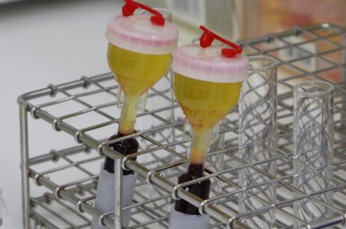 圣心医疗美容镰仓达郎总院长，带你探索年轻的秘密