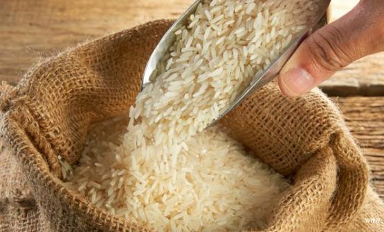 大米生了虫 预防大米生虫的措施