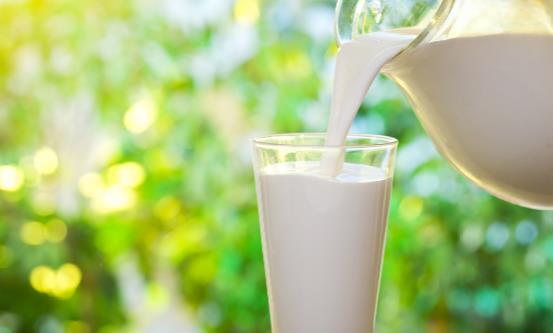 老年人常喝牛奶能预防骨质疏松 这几类老年人不要喝牛奶