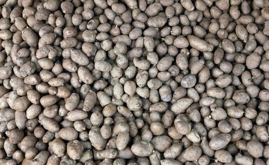 山药豆怎么清洗 山药豆的营养做法大全