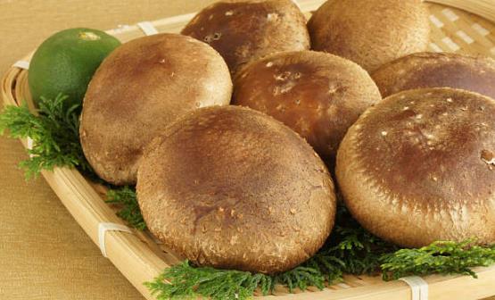 10种食物助力提升免疫力 提高免疫力的四食谱推荐