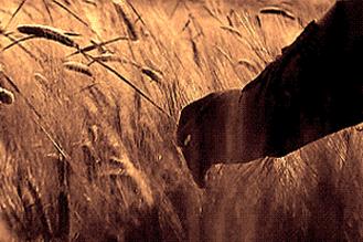 西安普瑞眼科医院好吗？春季易发哪些眼病？