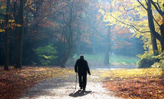 老人散步谨记四要领 最适合中老年人的散步方法 