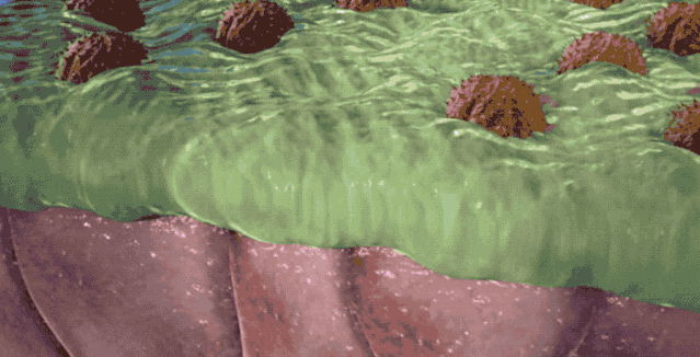 春季鼻敏感，儿科专家鲍秀兰给大家支招！