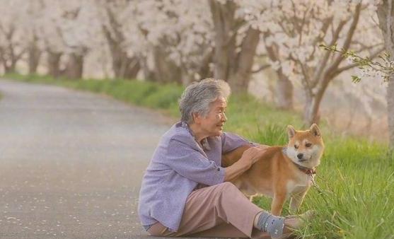 老年人适当进行娱乐活动 更加有助老年人身心健康