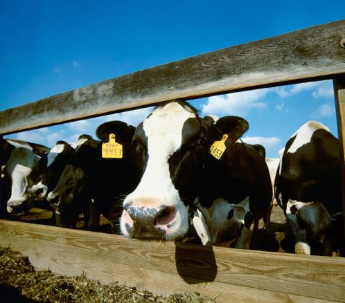 更懂营养的代餐棒!方特健一步搞定,给身体来个“大扫除”!