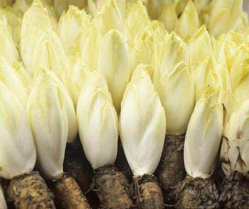 更懂营养的代餐棒!方特健一步搞定,给身体来个“大扫除”!