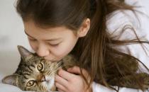​吸猫有风险 免疫力低尽量别养猫