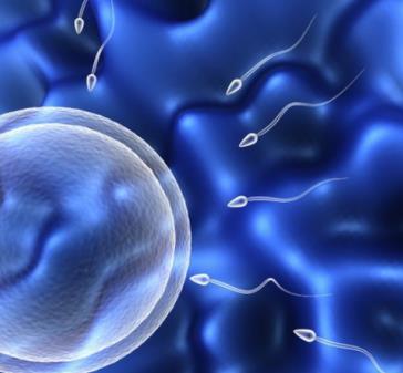 石家庄蓝天中医院看男科如何 守护男性健康 为百姓服务