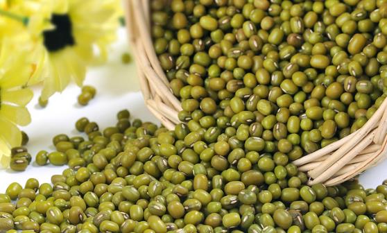 电脑辐射不利于身体健康 食物有减少电脑辐射危害的效果