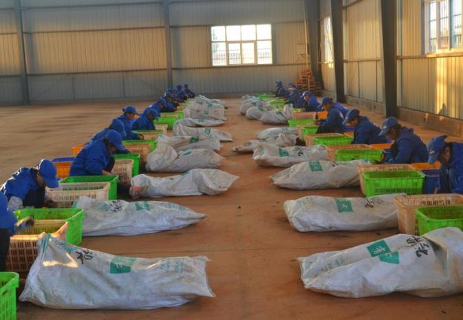 让每一位消费者放心，御芝林用品质和坚守交出高分答卷