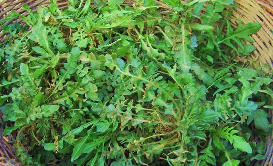 远离缺钙困扰 不起眼的食物堪称补钙高手