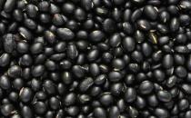 ​醋泡黑豆的8大功效 醋泡黑豆的制作方法