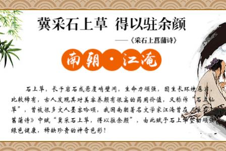 石上草:脱发怎么办?用什么洗发水好?