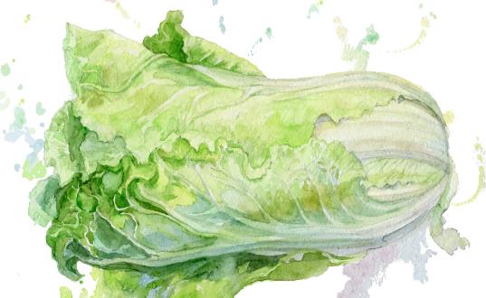 安全的祛斑十食谱 枸杞酒酿蛋给你好脸色