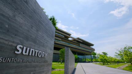 30年融于一粒的日本匠心,日本人每天都补充的芝麻素到底是什么?