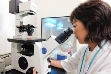 30年融于一粒的日本匠心,日本人每天都补充的芝麻素到底是什么?