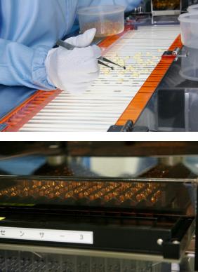 30年融于一粒的日本匠心,日本人每天都补充的芝麻素到底是什么?