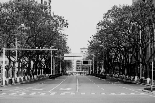 4月8日武汉重启,小白熊母婴抗疫援助进行时