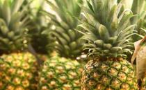 ​菠萝的7大养生功效 史上最全菠萝美食做法