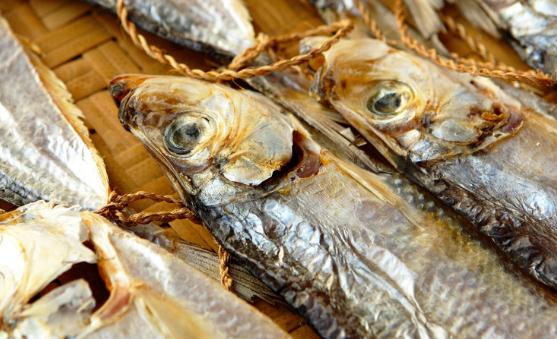 吃鱼的禁忌 鱼的这些部位千万不能吃