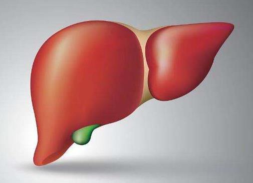 济南中医肝病医院是正规医院吗?专家经验丰富 携手共抗肝病!