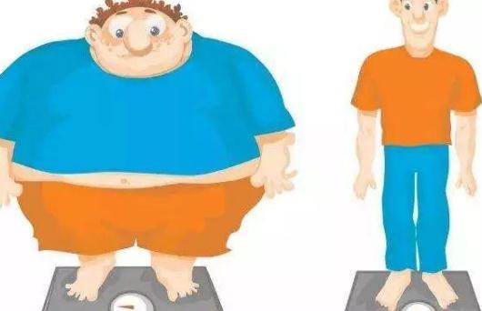 内脏脂肪是怎么形成的 内脏脂肪高有哪些症状 怎么减掉