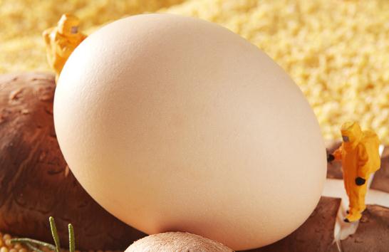 吃了鸡蛋皮肤痒是怎么回事 对鸡蛋过敏是对蛋白质过敏吗