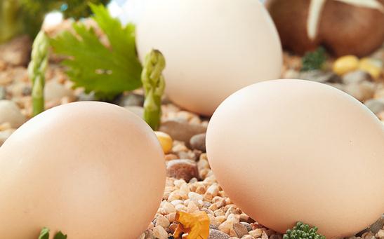 吃了鸡蛋皮肤痒是怎么回事 对鸡蛋过敏是对蛋白质过敏吗