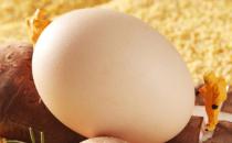 吃了鸡蛋皮肤痒是怎么回事 对鸡蛋过敏是对蛋白质过敏吗