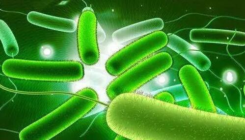 查支原体衣原体感染做什么检查