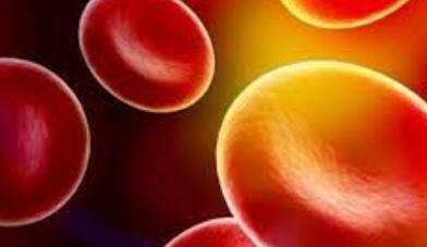 成人胆红素高是怎么回事有什么危害