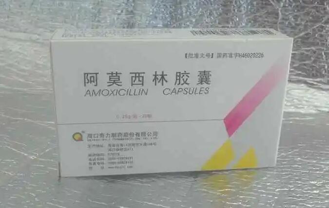 吃阿莫西林可以喝酒吗(吃阿莫西林可以喝酒吗)