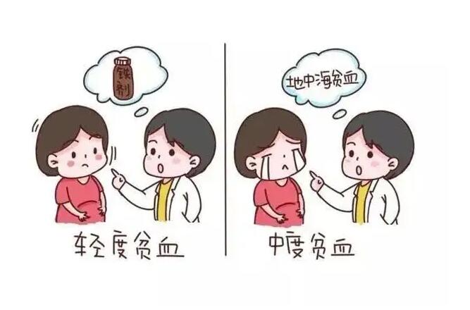 贫血吃什么补血效果最好女人(贫血吃什么补血效果最好女人食补)